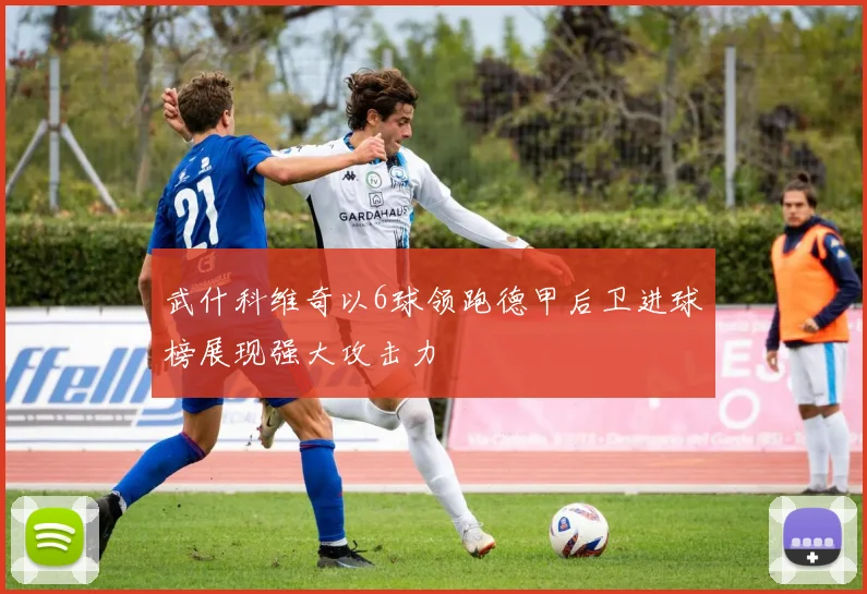 武什科维奇以6球领跑德甲后卫进球榜展现强大攻击力